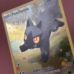 Poochyena GG33/GG70 Crown Zenith Galarian Gallery Holo Rare Pokemon TCG - Image 2