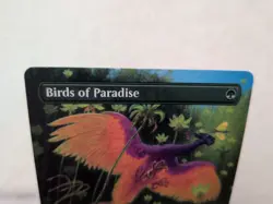 Birds of Paradise (Borderless) Dominaria Remastered Regular - Image 2