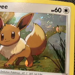 Pokemon TCG Sword & Shield Eevee Black Star Promo SWSH095 SWIRL HOLOFOIL - Image 2