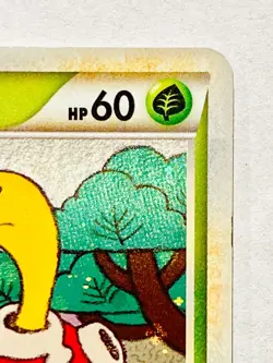 Shuckle Holo Pokemon Card Game 011/070 Very Rare From Japan Nintendo F/S - Image 3