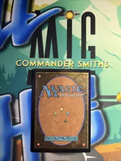 Mystic Sanctuary ✨ Borderless FOIL ✨ MTG DanDan Secret Lair NM (2143) - Image 2