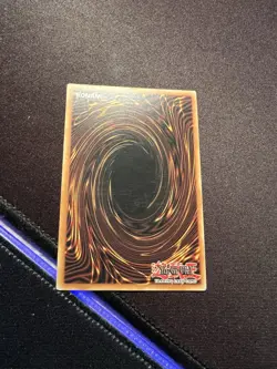 Yu-Gi-Oh! Ancient Sacred Wyvern! Ultimate Rare ANPR-EN043 American - Image 3