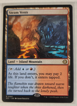 STEAM VENTS - Lorwyn Eclipsed - MTG Rare #267 - Magic: The Gathering - Image 1