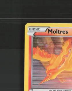 Moltres 22/113 Legendary Treasures Holo Rare Pokemon Card MP - Image 3