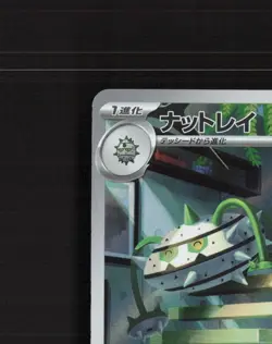 Ferrothorn 072/062 Japanese Raging Surf Full Art Rare Holo Pokemon Card NM - Image 3