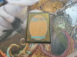 Spellbook Vendor Extended Art MTG Wilds Of Eldraine - Pack Fresh - - Image 2