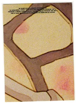 1999 Topps Pokemon The First Movie #S2 Charmander (Sticker Card) Black LP - Image 2