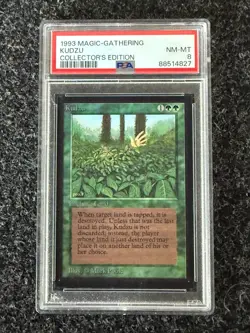 1993 Magic the Gathering Kudzu - Collectors Edition - PSA 8 NM-MT - Image 1