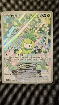Pokemon Petilil Illustration Rare Sv: Black Bolt 091/086 Holo English - Image 1