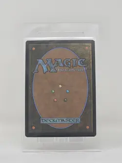 MTG - Traveling Chocobo - Regular Mythic #210 - Final Fantasy NM - Image 2