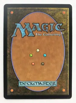 Zendikar Misty Rainforest LP-NM MTG Magic the Gathering - Image 2