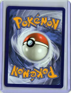 Chimchar - 041 041 Holo Promo ME: Mega Evolution Promo Pokemon Near Mint - Image 2