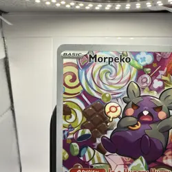 Morpeko 206/182 SV04: Paradox Rift Illustration Rare Pokemon Card NM - Image 2