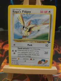 Kogas Pidgey 80/132 Common - Gym Challenge WOTC 1999 - Pokemon TCG Card - Image 1