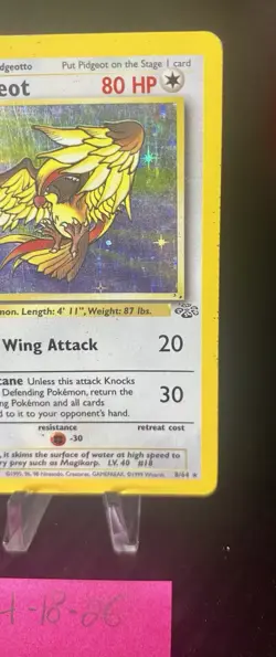 1999 Pokemon TCG Jungle Pidgeot 8/64 Holo Rare Card Unlimited WOTC Vintage - Image 3