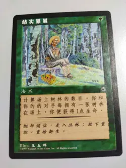 MTG S-Chinese Fruition Alternate Art Portal SP - Image 1