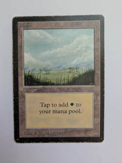 Plains MTG Limited Edition Beta Land - from 1993 - Played conditon, no creases - Image 1