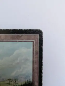 Plains MTG Limited Edition Beta Land - from 1993 - Played conditon, no creases - Image 3