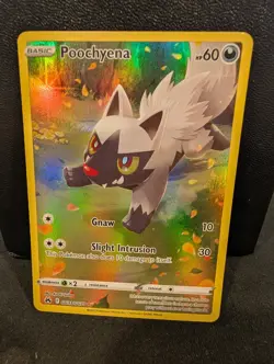 Pokemon TCG Poochyena GG33/GG70 Crown Zenith Galarian Gallery Ultra Rare NM - Image 1