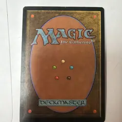 Enlightened Tutor Mirage Regular - Image 2