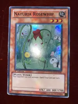 Yu-Gi-Oh! NATURIA ROSEWHIP HA02-EN041 1st Edition Super Rare - Image 1