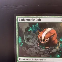 Magic The Gathering Badgermole Cub M0167 TLA ENG Near Mint - Image 2