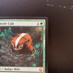 Magic The Gathering Badgermole Cub M0167 TLA ENG Near Mint - Image 3