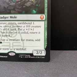 Magic The Gathering Badgermole Cub M0167 TLA ENG Near Mint - Image 5