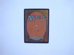 APAC Island (Red Booster) - NM - Beard Jr. - Hong Kong - MTG Magic the Gathering - Image 2