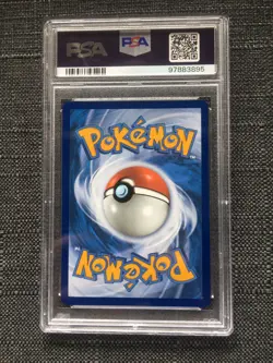 Pokemon SQUAWKABILLY EX 264/193 PSA 10 - Scarlet & Violet - Paldea Evolved SIR - Image 2