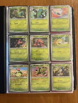 Pokemon TCG Journey Together Near-Complete Master Set | 7/10 Top Pulls - Image 3