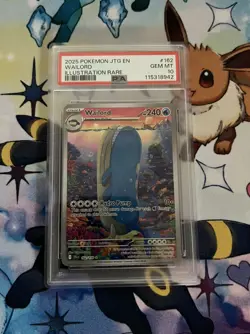 2025 POKEMON JTG EN-JOURNEY TOGETHER ILLUSTRATION RARE #162 WAILORD PSA 10 - Image 1