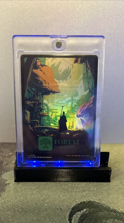 MTG Forest (0291 Foil) The Lost Caverns of Ixalan (LCI) #291 Magic the Gathering - Image 1