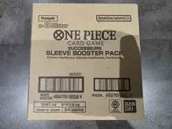 Case scellee – One Piece – OP13 – Successeurs – 24 Boosters blisters – Fr - Image 1