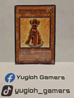 YUGIOH OUTSTANDING DOG MARRON DCR 1ST EDITION COMMON PLAYED - Image 1