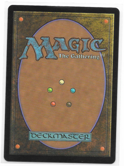 MTG Tifa Lockhart 567 Borderless Chocobo Track Foil Final Fantasy FIN - Image 2