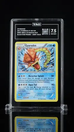 Pokemon XY109 Gyarados Holo Rare Black Star Promos TAG 7.5 - Image 1