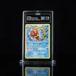 Pokemon XY109 Gyarados Holo Rare Black Star Promos TAG 7.5 - Image 2