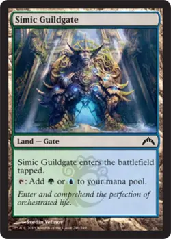 Simic Guildgate - Light Play MTG Gatecrash - Image 1
