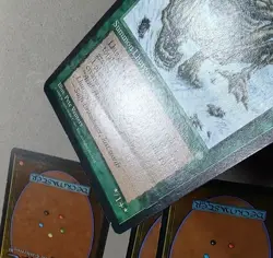 (4x) Lhurgoyf - Ice Age- Regular - MP/HP - Free Shipping - MTG - Image 3