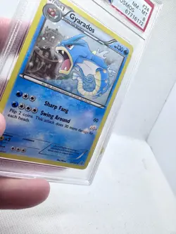 2012 Pokemon Black & White Gyrados Dragons Exalted Super Rare Cosmos Foil! PSA 8 - Image 4