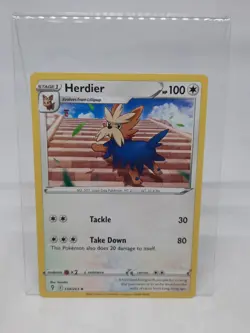 Herdier Evolving Skies 134/203 Pokemon TCG Card NM/M Regular Uncommon - Image 1