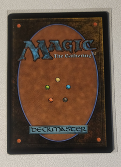 SIGARDIAN EVANGEL - Foil - Mystery Booster 2 - MTG Uncommon #258 - Image 4