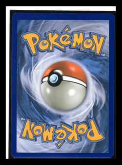 Pupitar 42/124 Pokemon XY - Fates Collide Uncommon Reverse Holo NM - Image 2