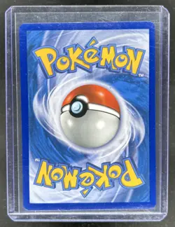 2016-19 Pokemon SM Black Star Promos Mewtwo & Mew #SM191 - Image 2