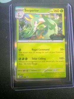 Serperior 064 Perfect Order Prerelease Pokemon Black Star Promo Stamped NM Card - Image 1