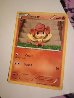 Pokemon Cards-Pansear, Slurpuff, Taillow, Vigorath, And Rev Holo Wailord - Image 1