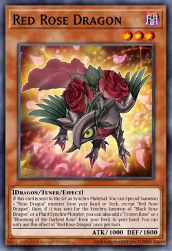 Yugioh! Red Rose Dragon STARLIGHT Rare 2025 tin MP25-EN037 ships 9/5 - Image 1