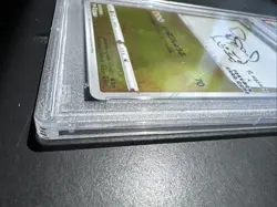 PSA 10 Pikachu Yu Nagaba x PCG Campaign 208/S-P Promo Pokemon Card 2021 GEM MINT - Image 2