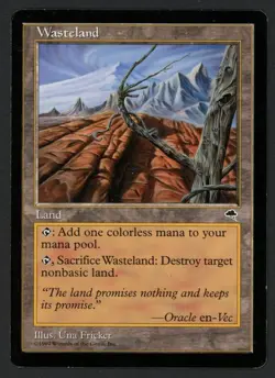 ***Wasteland** MTG Tempest Magic Kid Icarus - Image 1